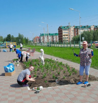 Цветы — это улыбка солнца, которая дарит радость. Цветы — это улыбка солнца, которая дарит радость.